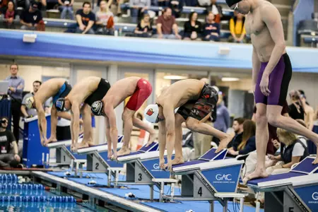 Swimmers on the starting block
