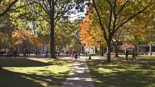 The tree-shaded quadrangle is at the center of the UofL campus.