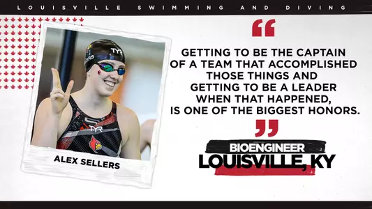 Alex Sellers quote graphic