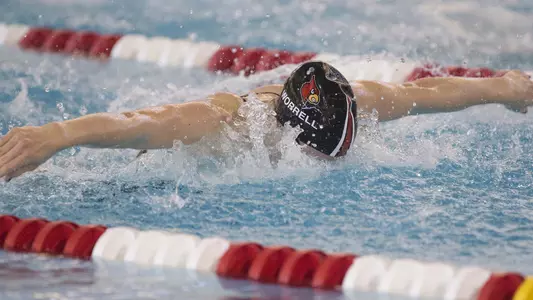 Kelsi Worrell Dahlia