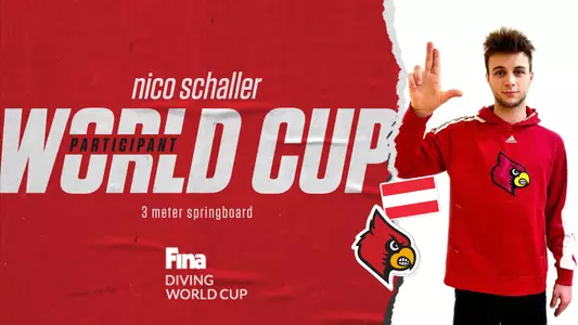 nico schaller graphic for diving world cup