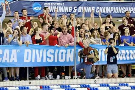 Cardinal women cheer on sideline at the NCAAs