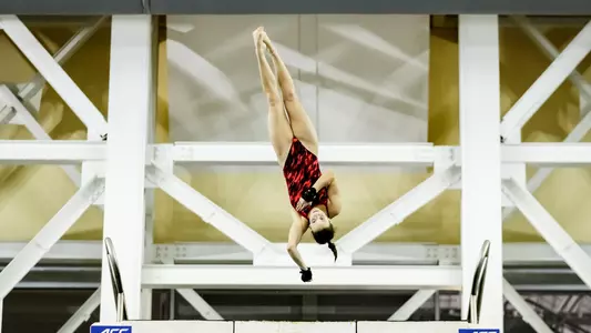 Else Praasterink dives the 3 meter board