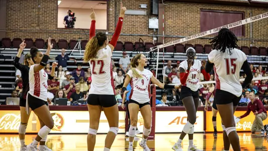 Cardinals celebrate on court in Tallahassee