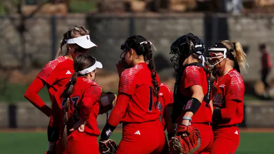 Softball team huddle