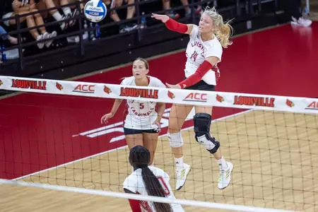 Anna DeBeer hits against Washington State