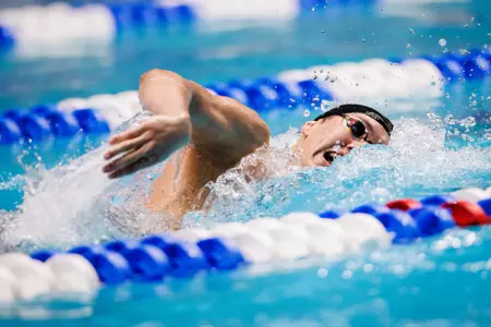 Gregg Enoch swims the 500 freestyle at NCAAs