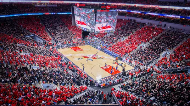 Fans, Stripe Out v Pitt