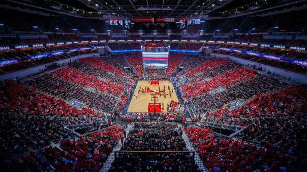 Louisville men's basketball stripe out