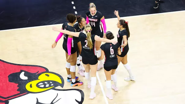 Louisville celebrates a point against Stanford