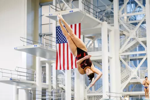 Diver in the twist position