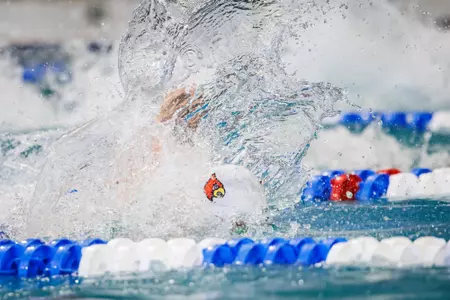 Cardinal cap emerging from the water with a big splash