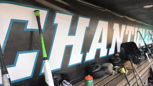 Baseball dugout and bats