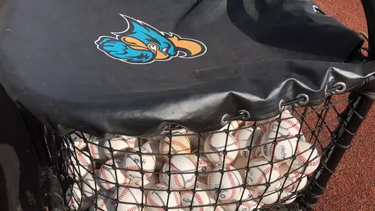 Baseball cart