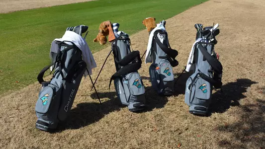 Golf bags 2018