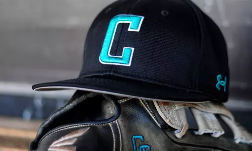 C hat and glove