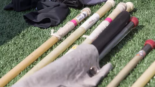 Pole Vault Poles