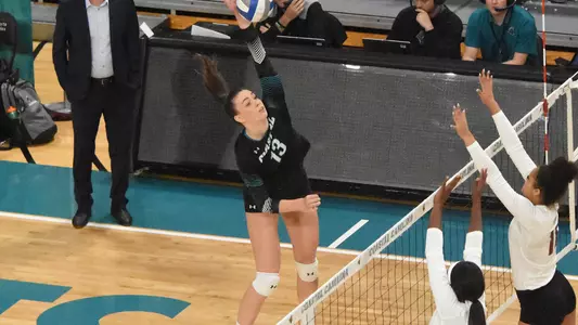 Anett Nemeth v. Texas State