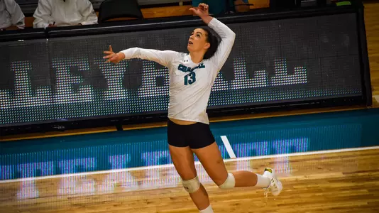 Anett Nemeth v. Georgia State