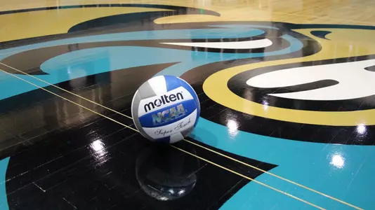 Volleyball on Court