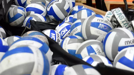 Volleyballs 2019