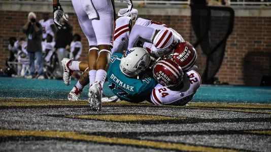 Sam Denmark touchdown catch versus Louisiana (11-6-19)