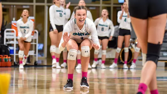 Levanova v. App State 2019