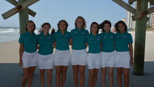Cropped Team under Pier