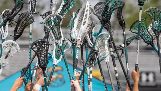 Lacrosse sticks