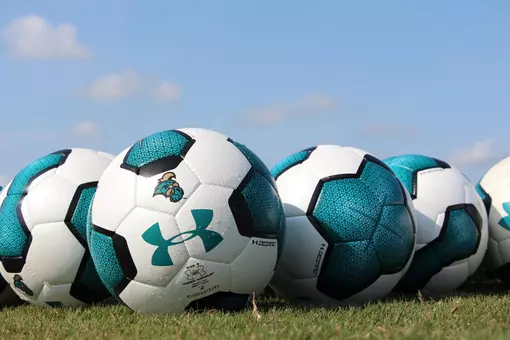 soccer balls