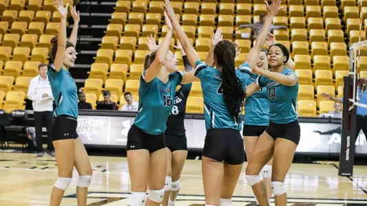 Volleyball Celebration