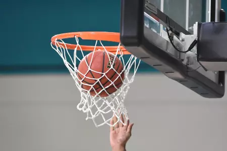 Ball in Net