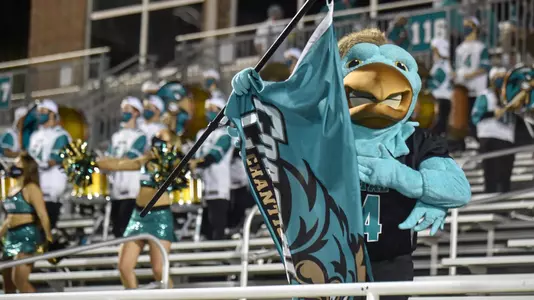 Chauncey at football game - USA (11-7-2020)