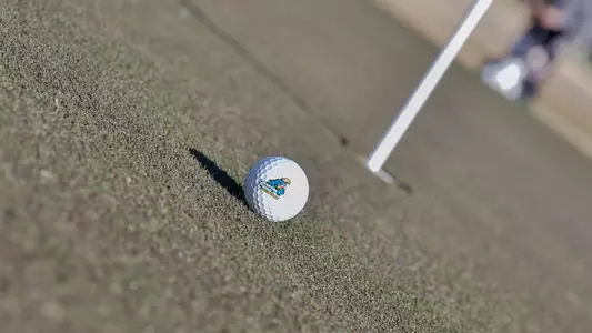 golf ball