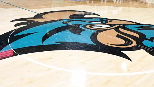 Chant Head basketball court
