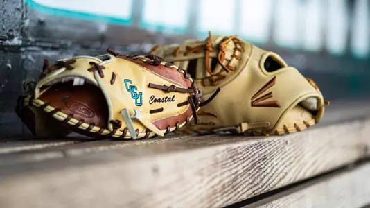 two gloves in dugout