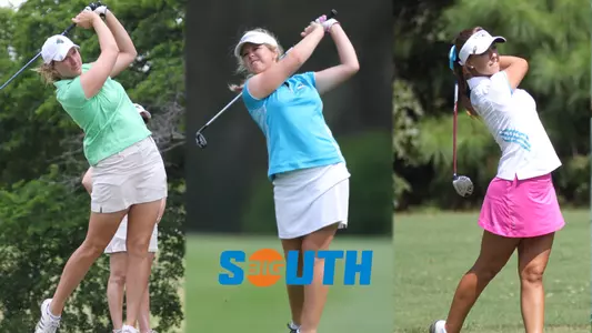 WGolf 2010-19 Big South All-Decade Team