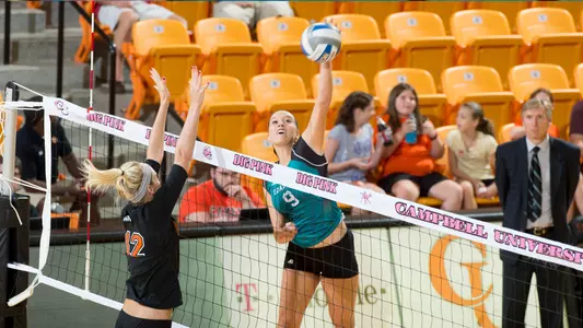 Lian Bernett v. Campbell 2014