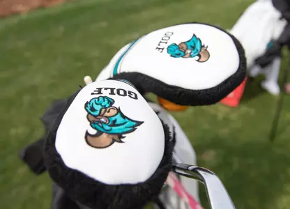 golf clubs
