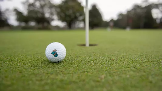 golf ball