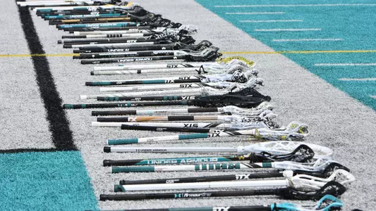 lax sticks on sideline