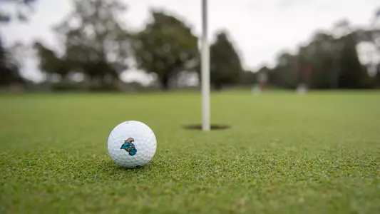 Golf Ball