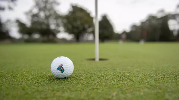 Golf Ball