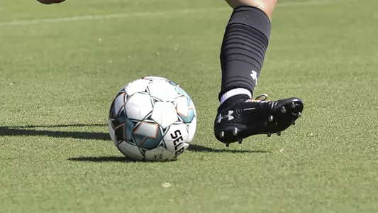 Soccer and foot kicking the ball