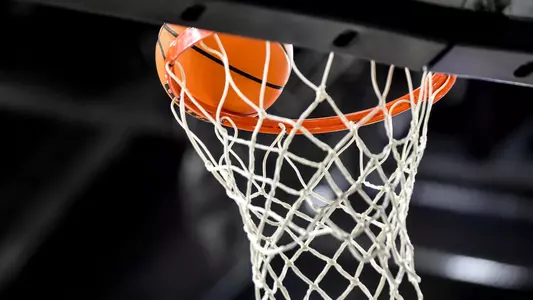 Basketball and net
