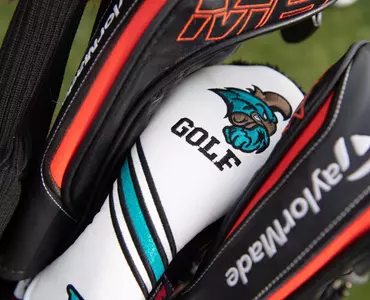 head cover