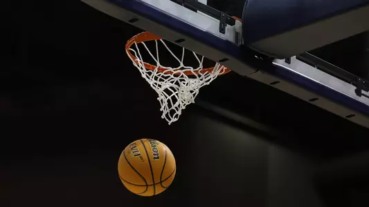 Ball going through hoop