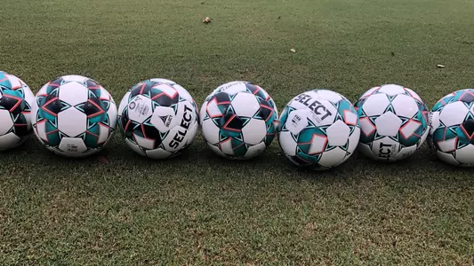 Soccer Balls
