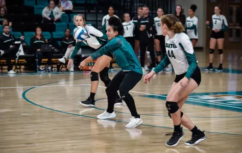 Lina with the dig
