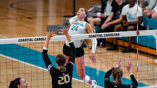 Rivest attacking JMU at the net